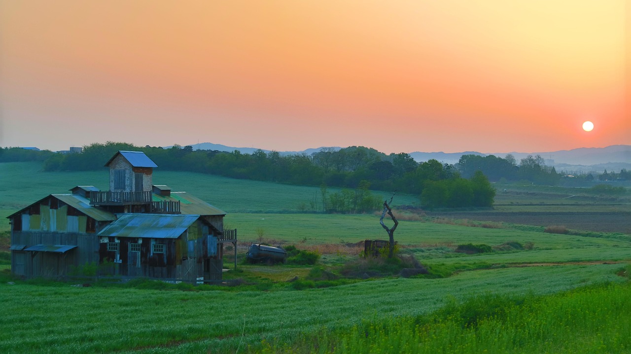 Read more about the article 안성아양영무예다음, 최고의 무예 수업을 찾는 법
